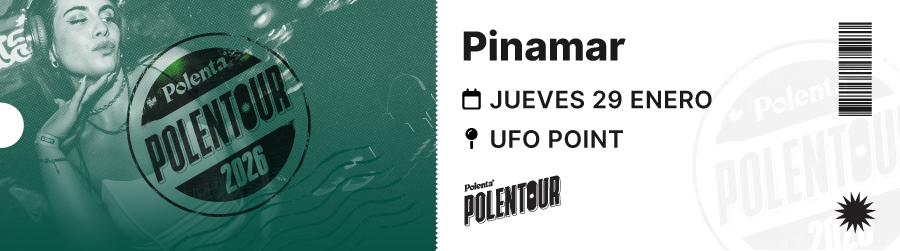 ticket Pinamar 29-01-2026